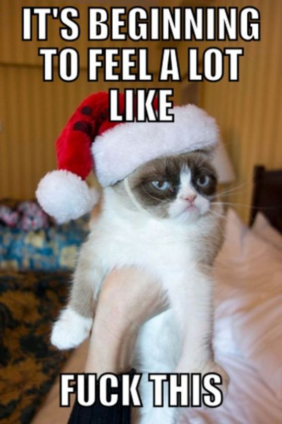 02-grumpy-cat-christmas