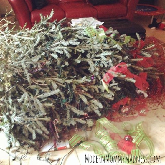 934875_10205122113270246_143690723059332852_n