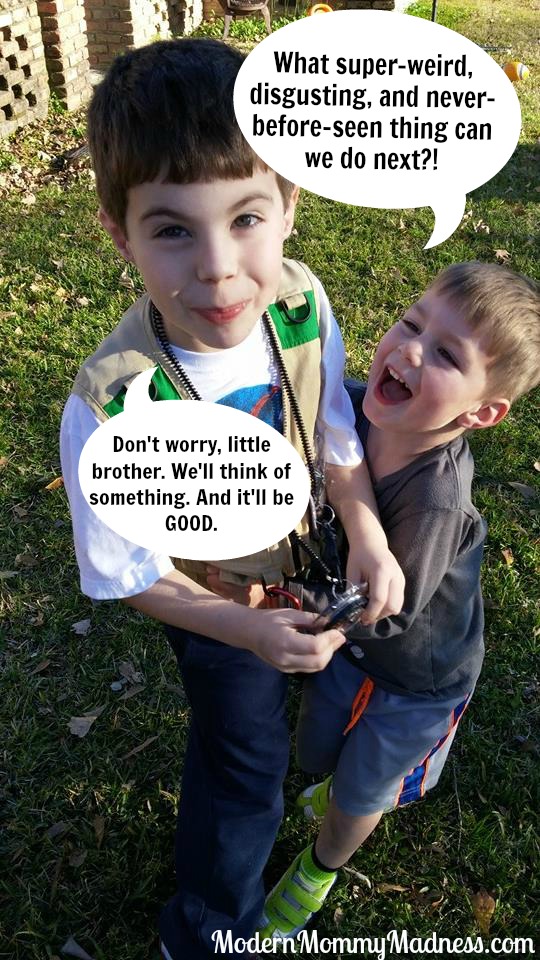 10993962_10155442596450508_6386182343040002687_n