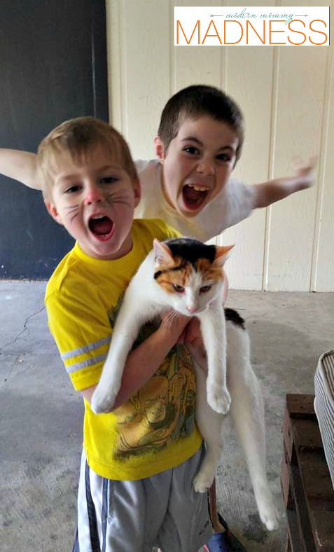Cat and boys
